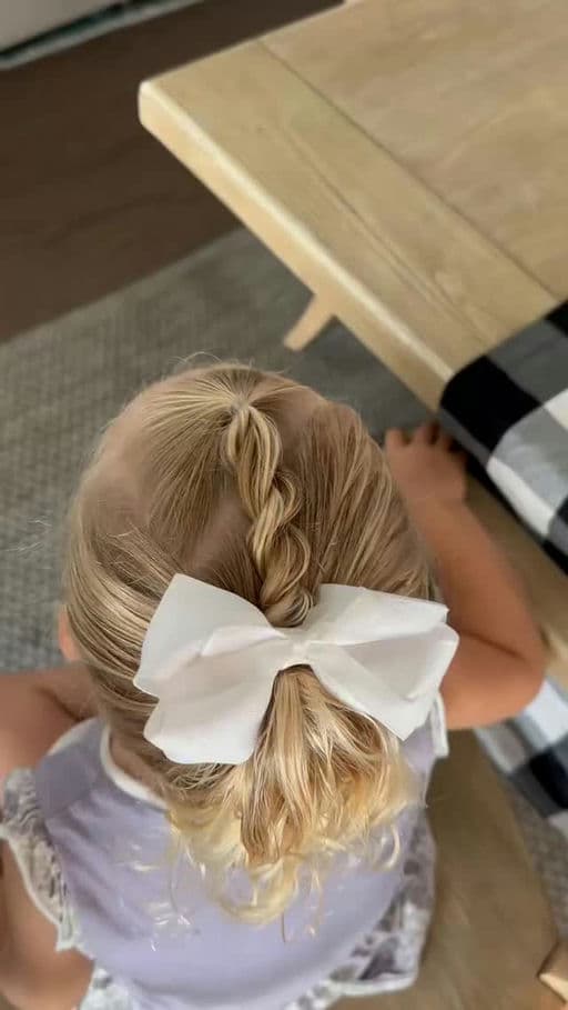 Twist Braid Ponytail