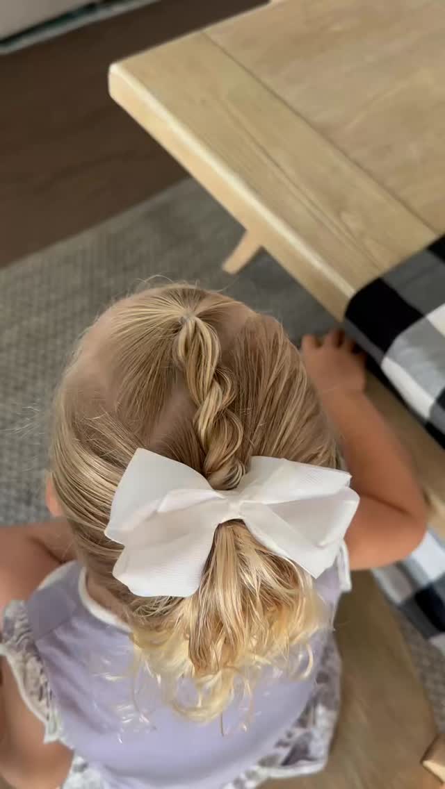 Twist Braid Ponytail