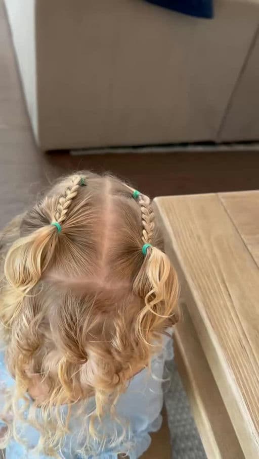 Top Braided Pigtails