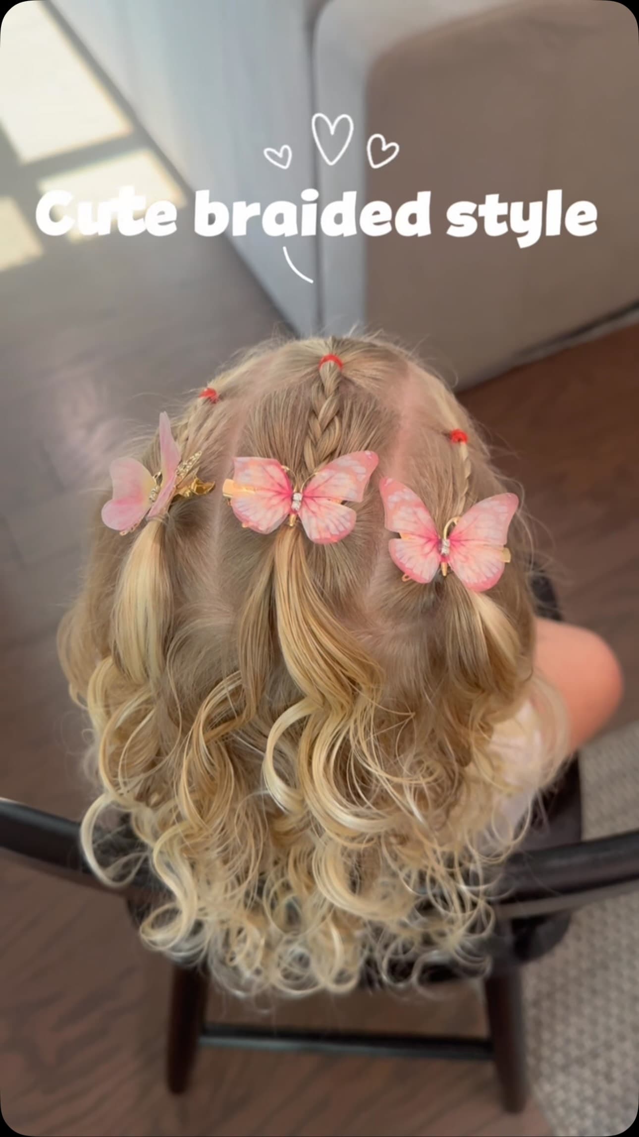 Cute Braided Style with Butterflies
